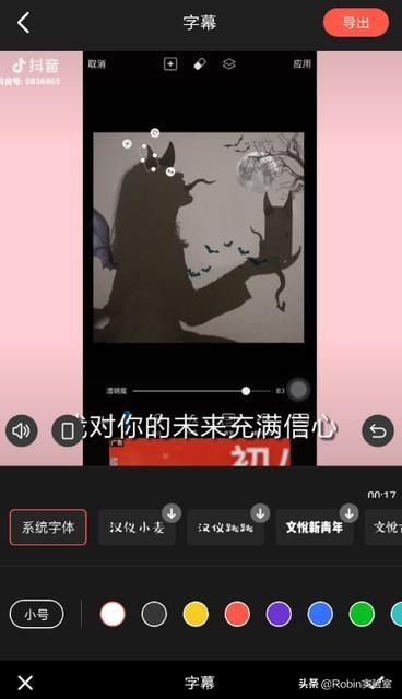 怎么在視頻中加文字？
