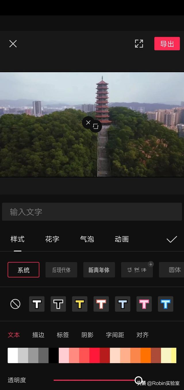 怎么在視頻中加文字？