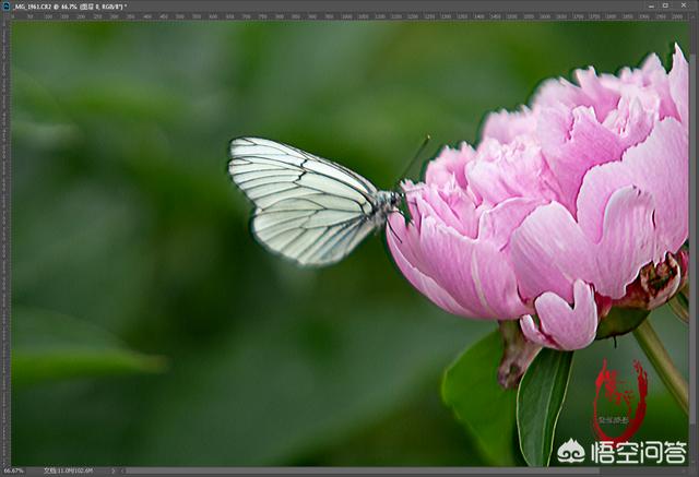 如何用photoshop將不清晰的照片變得清晰？