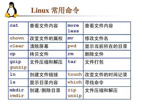你最常用的一個(gè)linux命令是什么？為什么？