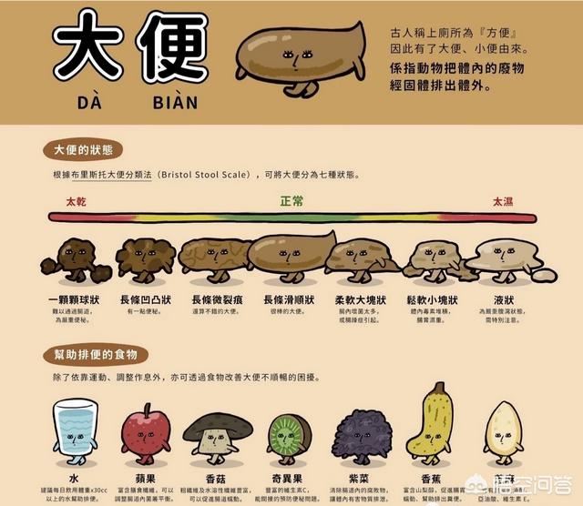 每天在什么時(shí)間段排便，說(shuō)明消化系統很健康？