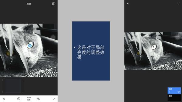 手機攝影后期軟件Snapseed的調色技巧有哪些？