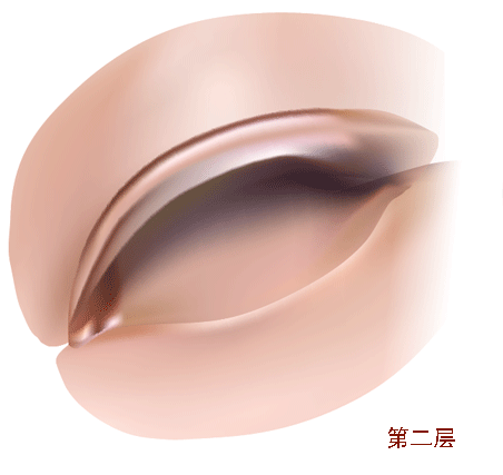 AI漸變網(wǎng)格打造美女精致五官
