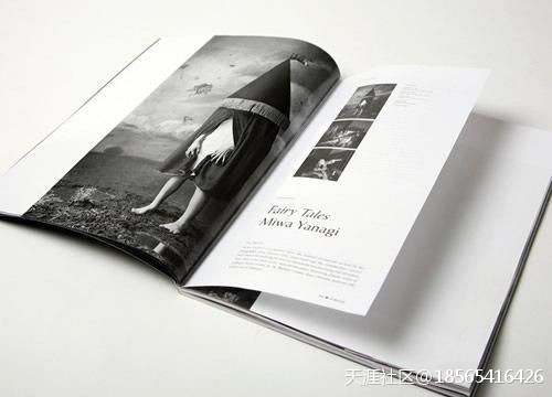 你知道嗎 ,“象”和“意”對于設計畫(huà)冊印刷有多重要?