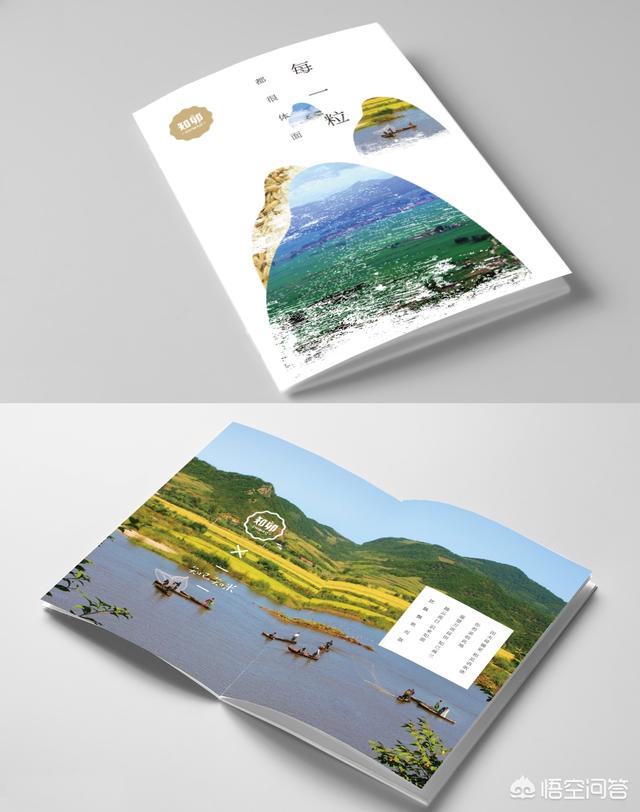 VI設計和畫(huà)冊設計助企業(yè)品牌價(jià)值如何最大化？