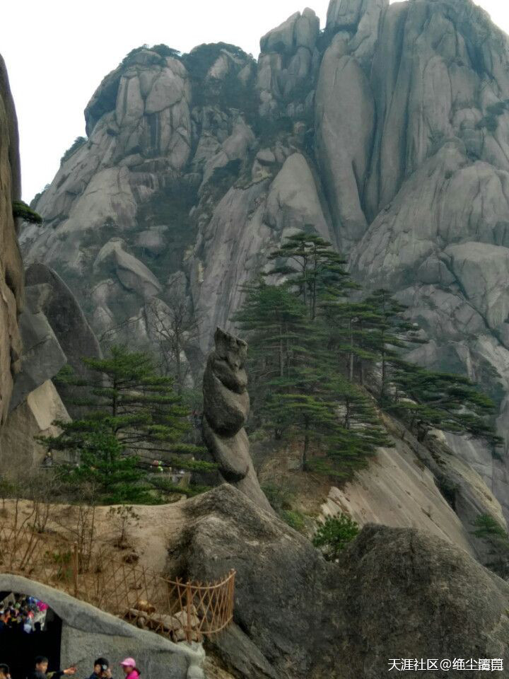 黃山歸來(lái)
