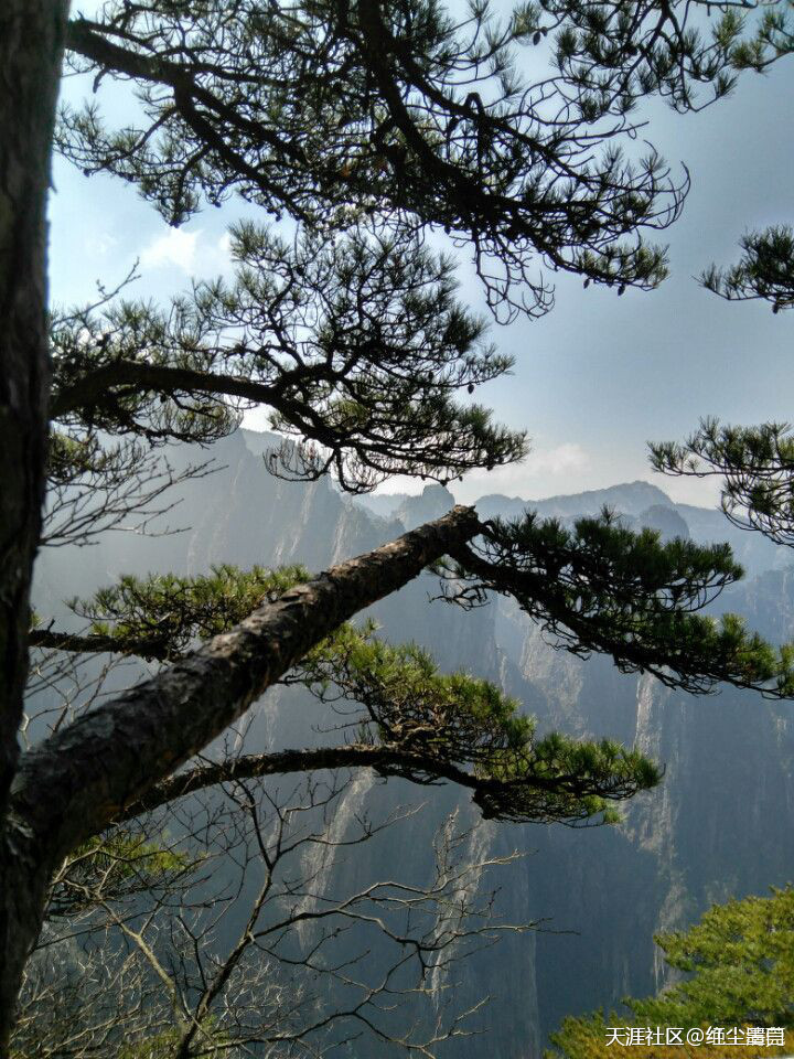 黃山歸來(lái)