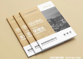 金融保險行業(yè)畫(huà)冊設計印刷