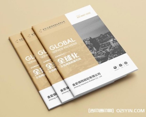 金融保險行業(yè)畫(huà)冊設計印刷