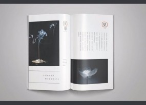 上海產(chǎn)品畫(huà)冊印刷注重穩中求變