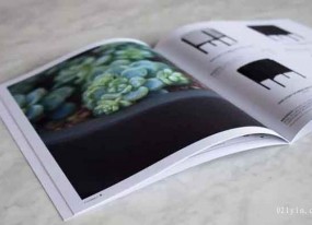產(chǎn)品畫(huà)冊印刷設計也要講流程