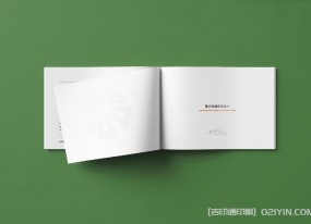 上海企業(yè)畫(huà)冊印刷對于畫(huà)冊尺寸有何要求？