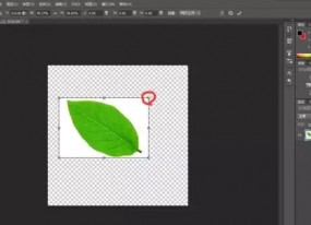 photoshop怎樣調整圖片尺寸和大??？