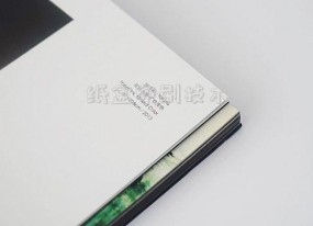 紙盒印刷技術(shù)(性能穩定的包裝盒印刷)