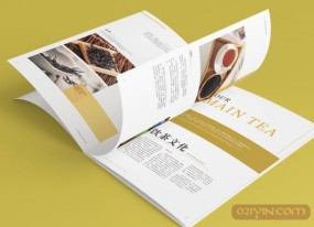 公司畫(huà)冊為企業(yè)帶來(lái)更多的收益
