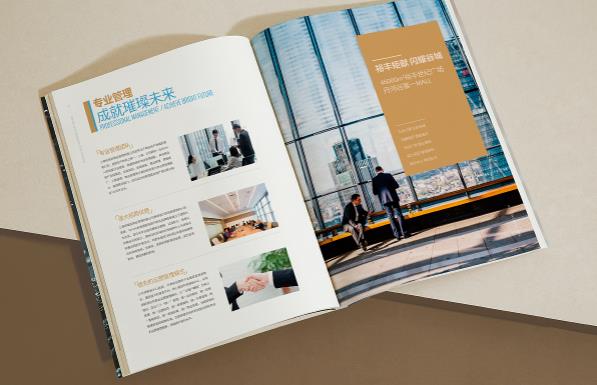 上海樣品畫(huà)冊印刷都有什么樣的狀況  第2張
