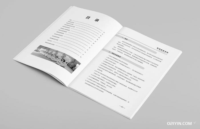 說(shuō)明書(shū)印刷  第1張