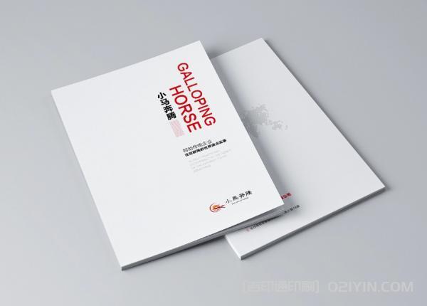 海外產(chǎn)品畫(huà)冊印刷  第2張