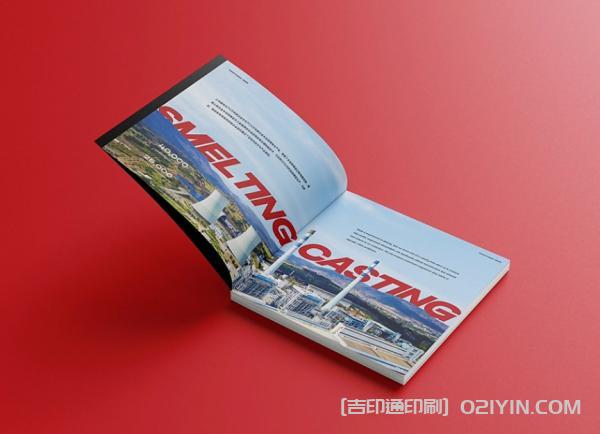 外企業(yè)畫(huà)冊設計印刷  第2張