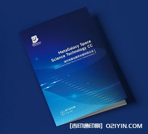 金融保險行業(yè)畫(huà)冊設計印刷  第2張