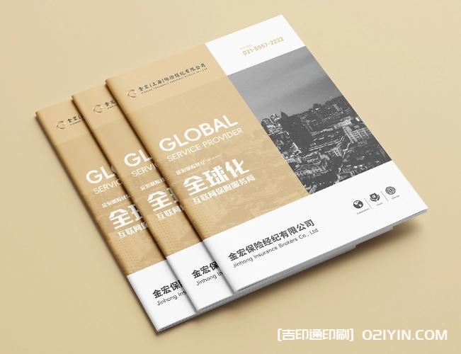 金融保險行業(yè)畫(huà)冊設計印刷  第1張