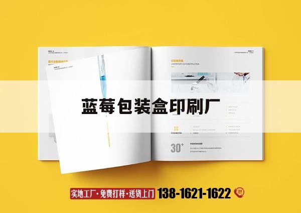 藍莓包裝盒印刷廠(chǎng)｜藍莓包裝設計