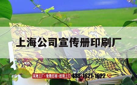 上海公司宣傳冊印刷廠(chǎng)｜上海印刷廣告公司  第1張